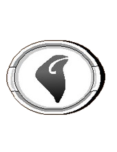 White Rune